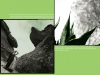 pag13-copy